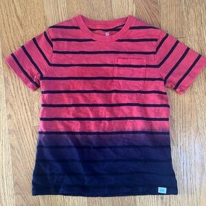 Gap Dip Dyed Ombré Striped Short Sleeve Tee